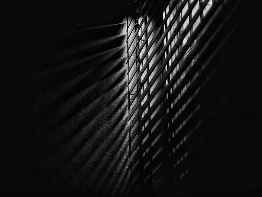 Que me perdone neruda