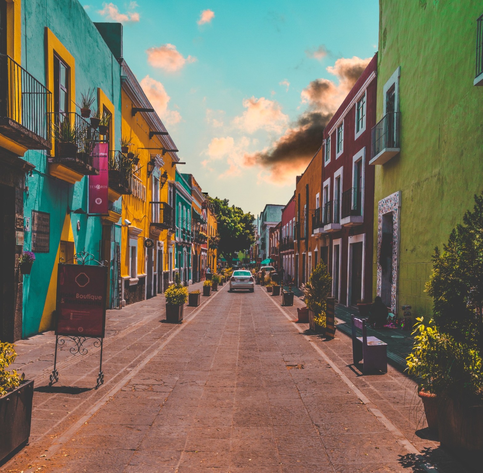 Micropoema Jade / Giada de Stefano Carbone