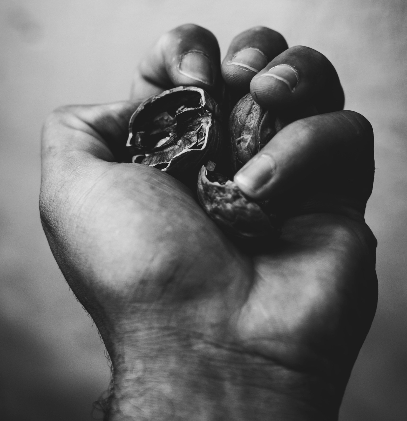 Micropoema Una cáscara / Un guscio / A Shell de Stefano Carbone