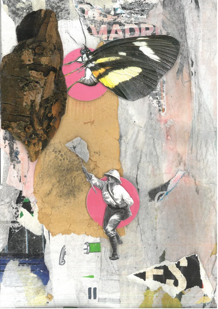Cazar Mariposas
Stefano Carbone
Collage analógico
210 x 297 mm
2024