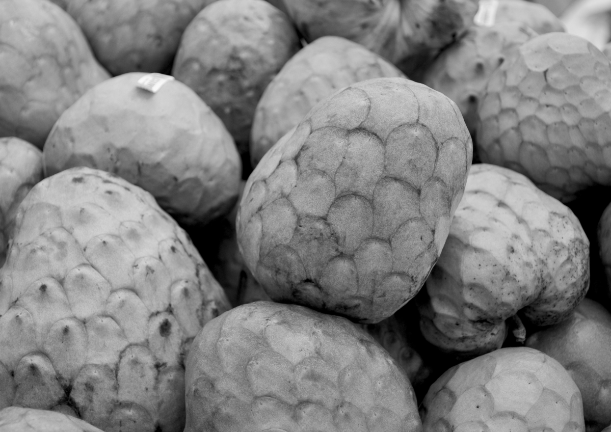 Madura / Matura /&nbsp;Ripe